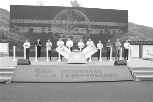 牛泉镇阳光玫瑰葡萄采摘节开幕